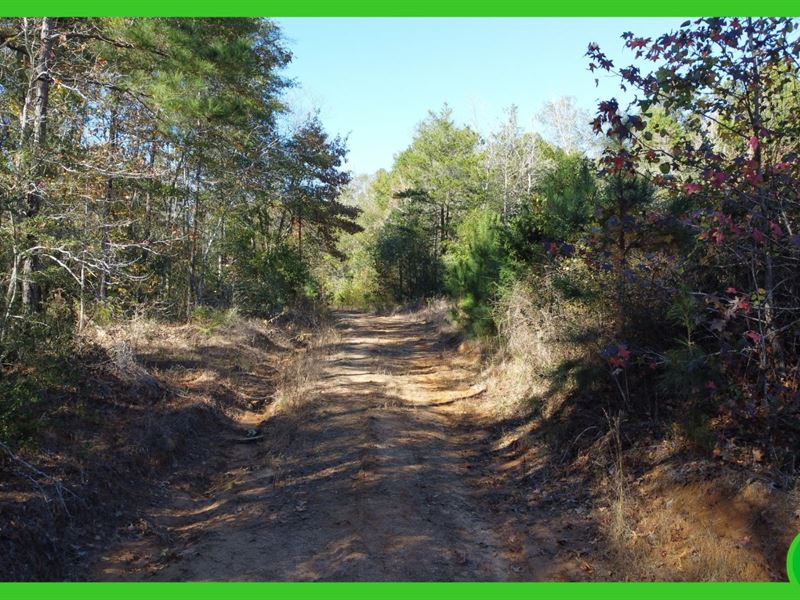 26.66 Acres in Houston County, TX : Crockett : Houston County : Texas