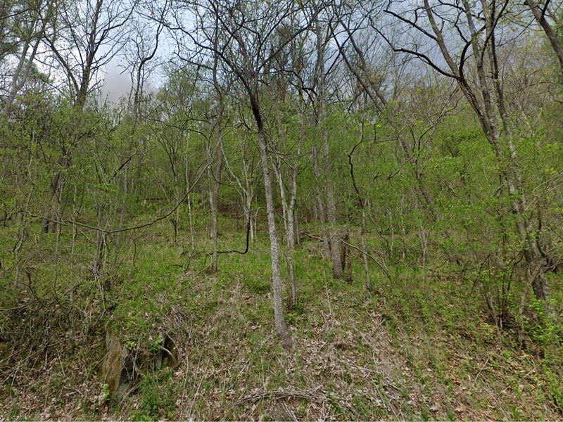 Unrestricted Land, Stunning Views : Burnsville : Yancey County : North Carolina