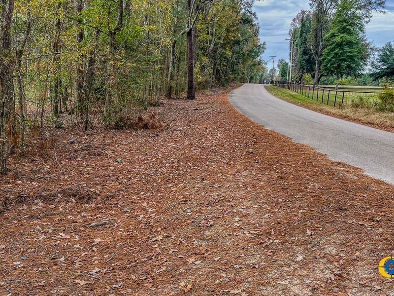 Flat Creek Tract : El Dorado : Union County : Arkansas