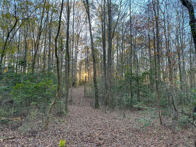 Homesite with Acreage in Harris Co : West Point : Harris County : Georgia