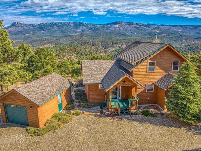 33115 Mountain Meadow Overlook, Tri : Trinidad : Las Animas County : Colorado