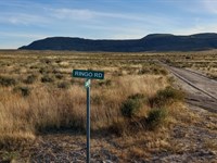 20 Acre Texas Ranch, Pmts Available : Sierra Blanca : Hudspeth County : Texas