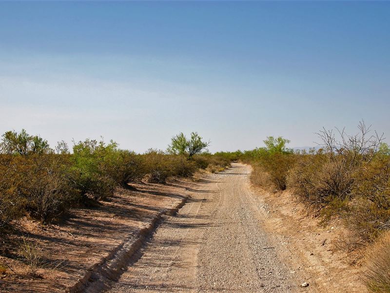 Remote 20 Acres of Freedom : Fort Hancock : Hudspeth County : Texas