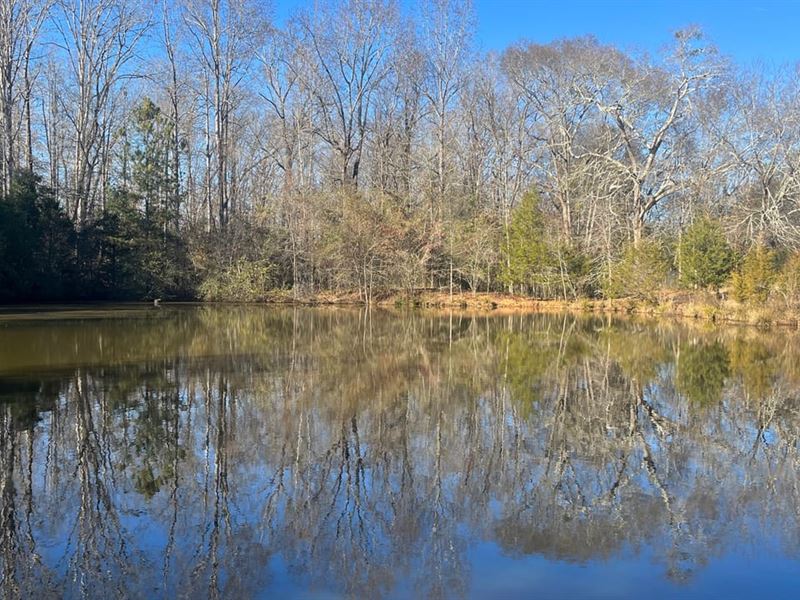 River Road Mini Farm : Carlton : Madison County : Georgia