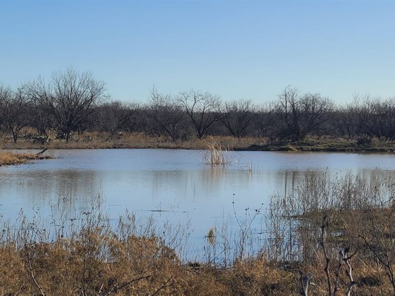 Lasater Estate : Breckenridge : Stephens County : Texas