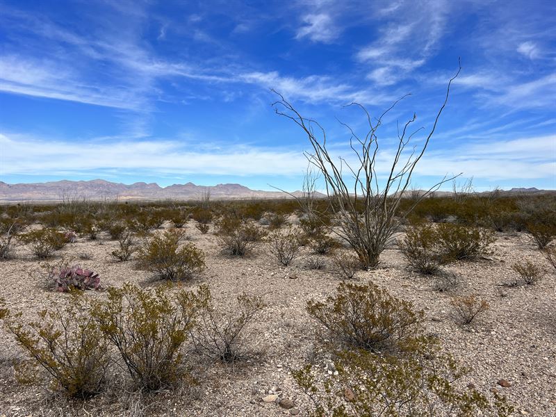 $1 Down 20 Acre Presidio County, TX : Presidio : Presidio County : Texas