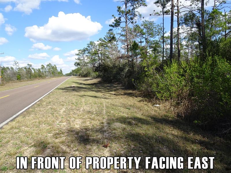 Beautiful Lot in Fountain, FL, Ranch for Sale by Owner in Florida