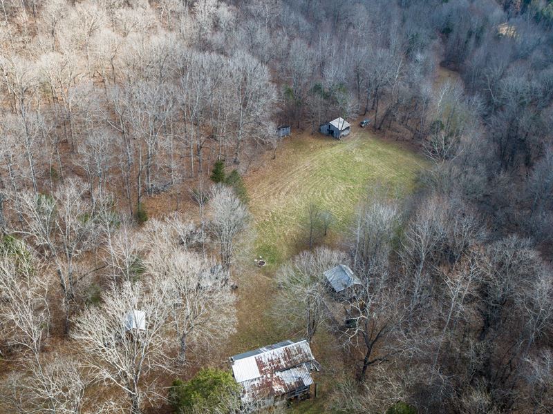 72 Acre Farm with Dogtrot Cabin : Cunningham : Dickson County : Tennessee