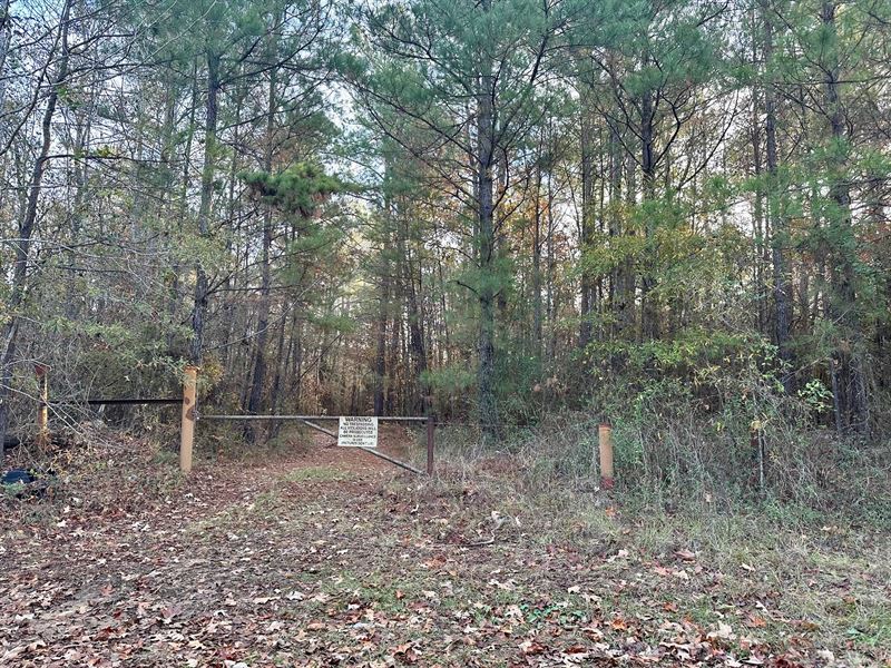200 Acres Hunting and Timberland : Clarks : Caldwell Parish : Louisiana