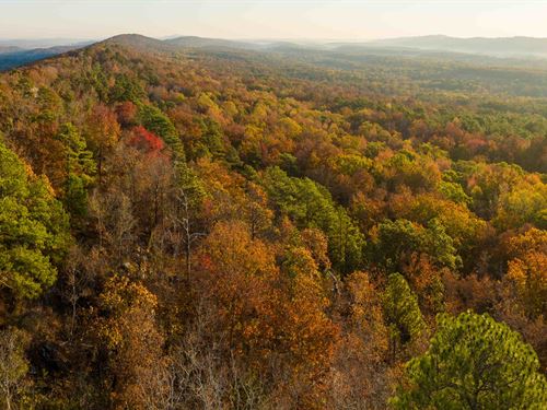 Development or Investment : Chelsea : Shelby County : Alabama