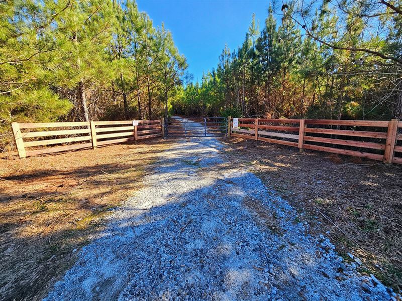 Donalds Tree Farm : Donalds : Greenwood County : South Carolina