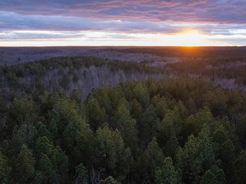 Tennessee River Overlook Tract 1 : Holladay : Benton County : Tennessee