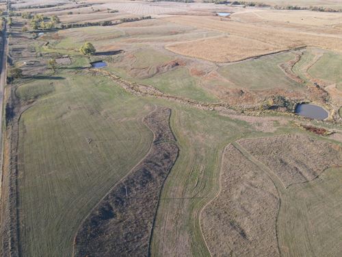 Jewell County Pasture : Burr Oak : Jewell County : Kansas