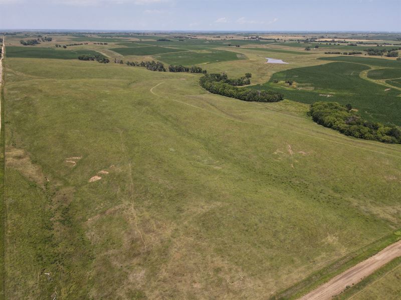 Jewell County Pasture : Burr Oak : Jewell County : Kansas
