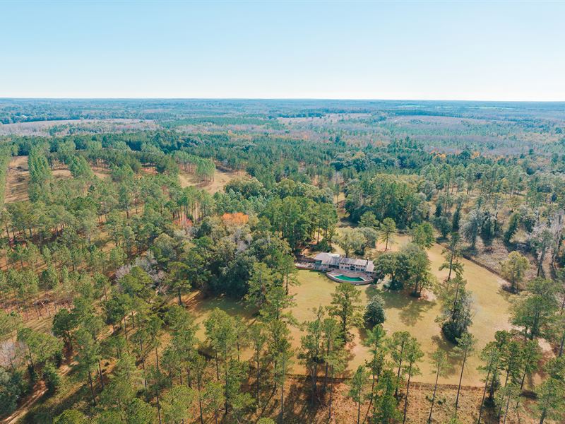Mays Island Timberland : Greenville : Madison County : Florida