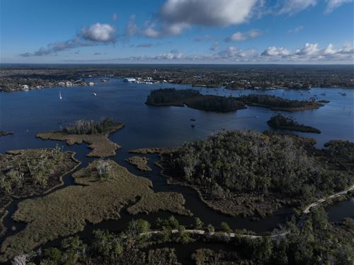 D Sanctuary at Kings Bay : Crystal River : Citrus County : Florida