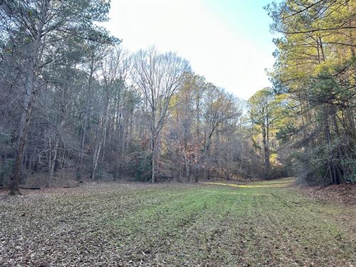 545 Acres in Dallas County : Valley Grande : Dallas County : Alabama