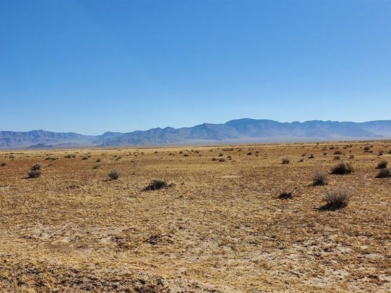40 Acre Parcel Bordering Blm Land : Kingman : Mohave County : Arizona