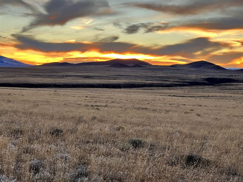 3/10ths Mile From Rio Grande River : San Luis : Costilla County : Colorado