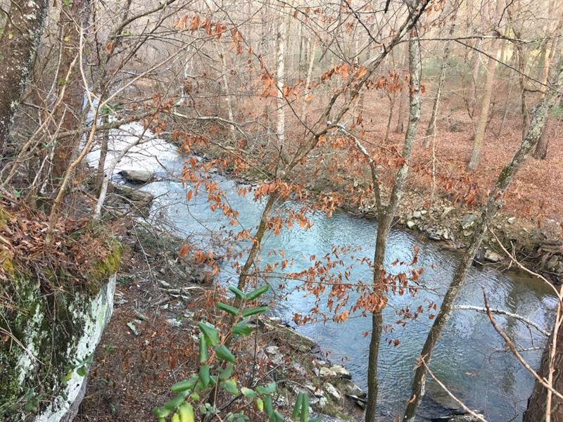 48 Acres - 3,000 Ft. Of River Frtg : Oneonta : Blount County : Alabama