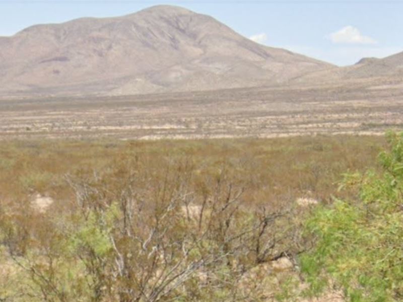 Over 20 Acres in Hudspeth County : Sierra Blanca : Hudspeth County : Texas