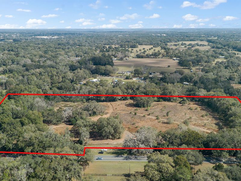 Vacant Land for Sale in Summerfield, Ranch Auction in Florida, 367864 RANCHFLIP