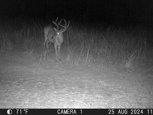 Park Road Hunt And Retreat : Holladay : Benton County : Tennessee