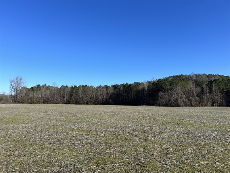 48 Acres in Lafayette County, MS : Paris : Lafayette County : Mississippi