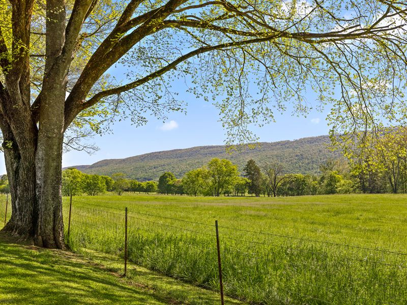 48 Acre Farm in Charming East TN : Whitwell : Marion County : Tennessee