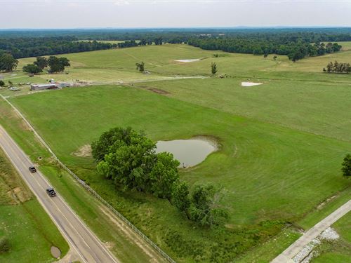 127 Acre Turn-Key Cattle Ranch : Pittsburg : Camp County : Texas