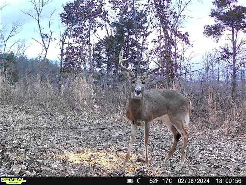 Premier Hunting Property 22.5 Acres : Winchester : Adams County : Ohio