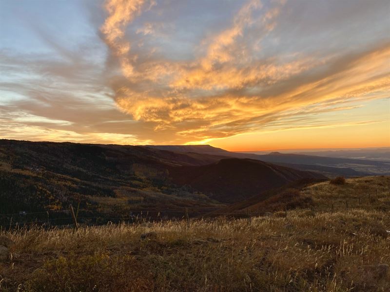 Cottonwood Creek : Collbran : Mesa County : Colorado