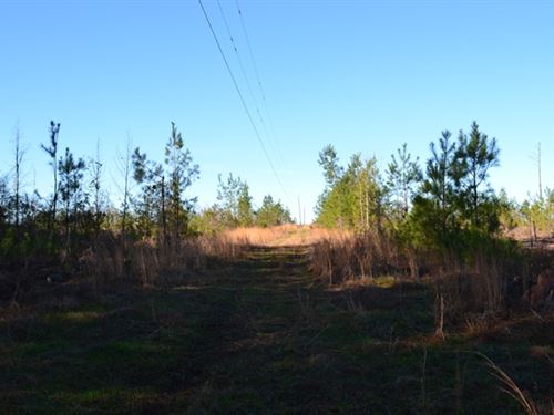 Cochran Highway West : Chester : Dodge County : Georgia