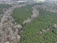 Bradford Trust, Lincoln Parish, 45 : Downsville : Lincoln Parish : Louisiana