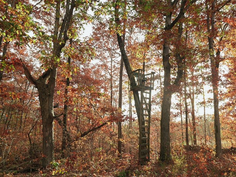 115.93 Acres in Soddy Daisy, TN, Ranch for Sale by Owner in Tennessee, 369420 RANCHFLIP