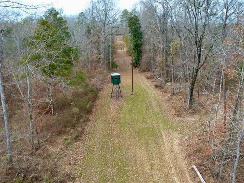 Hunting Land with Lodge for Sale : Port Gibson : Claiborne County : Mississippi