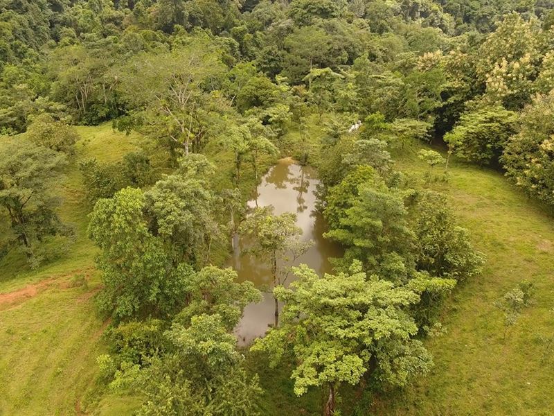Beautiful Property : Puriscal San Jose : Costa Rica