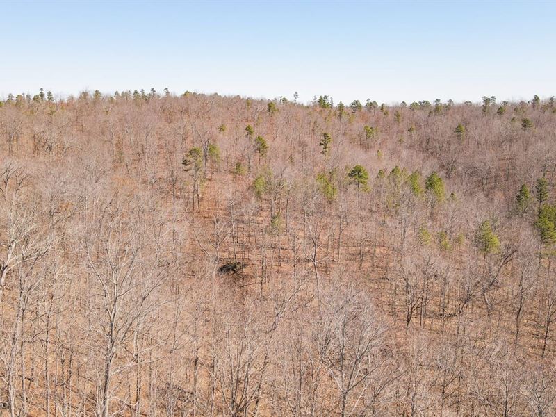 100 Acres in Eminence, MO for Sale, Ranch for Sale in Missouri, 369939