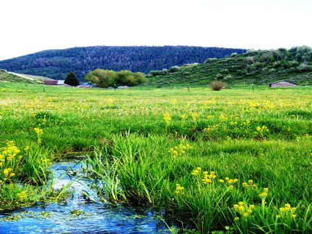 Historic Trull Ranch : Steamboat Springs : Routt County : Colorado