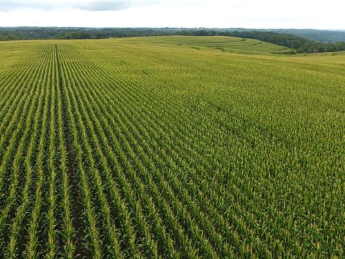 Richland County Income Property : Viola : Richland County : Wisconsin