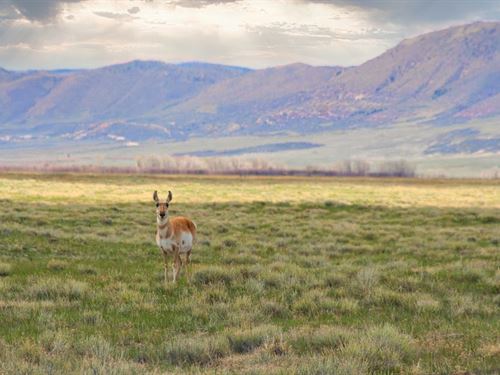 Maverick Way 40 : Laramie : Albany County : Wyoming
