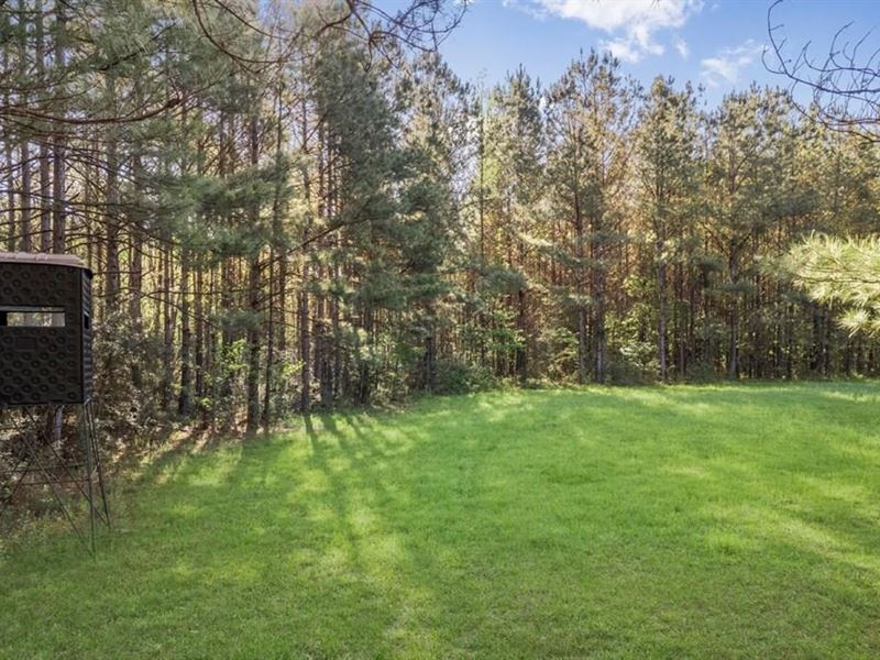 340 Acres Hunting Timberland for Sa : Greensburg : Saint Helena Parish : Louisiana