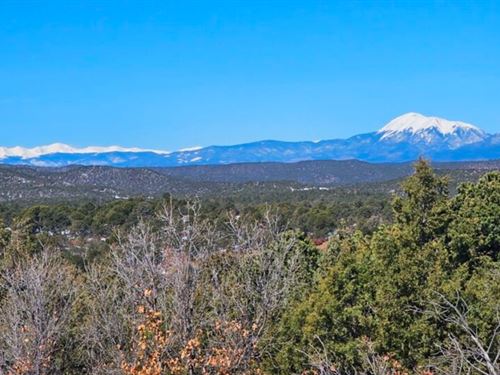 T1 Fishers Peak Ranch : Trinidad : Las Animas County : Colorado