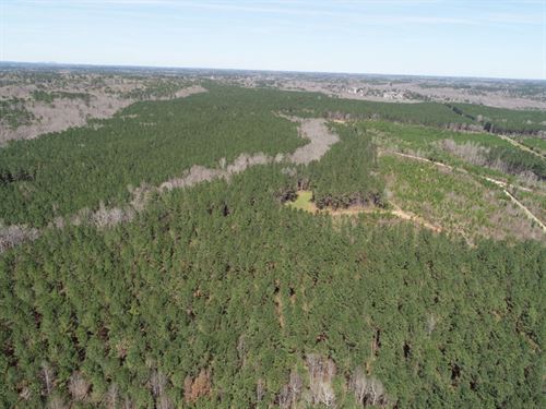 585 Acre Development Property : Covington : Newton County : Georgia