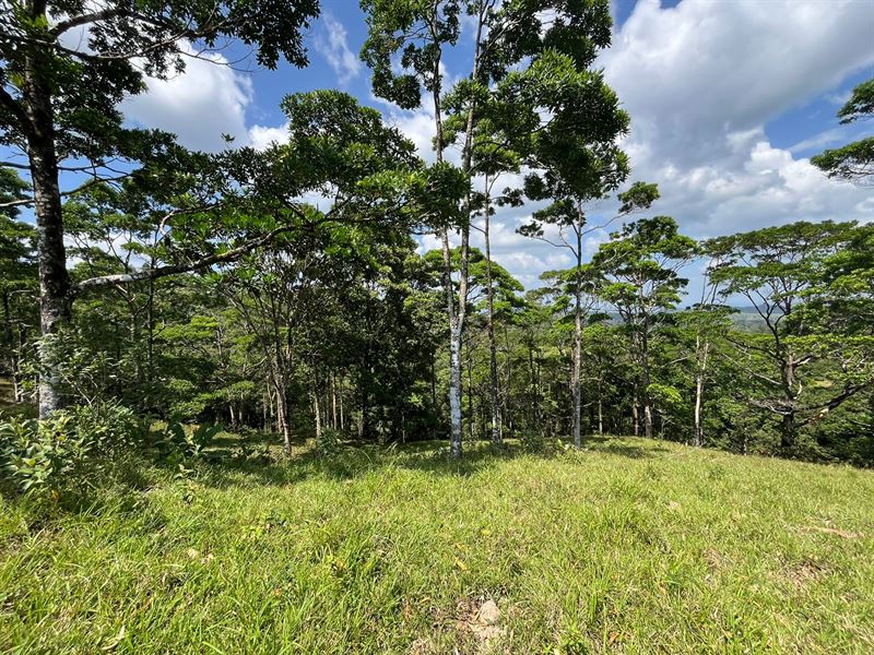 Beautiful and Impressive Property : Guatuso Upala : Costa Rica