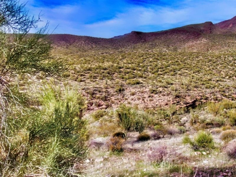 The Perfect Parcel, $195/Month : Wikieup : Mohave County : Arizona