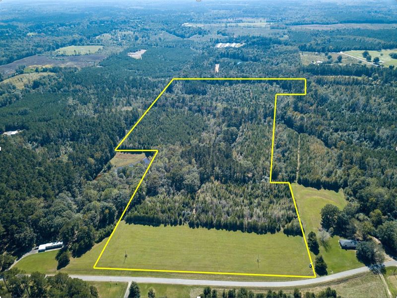 Newton County-50 Acres : Decatur : Newton County : Mississippi