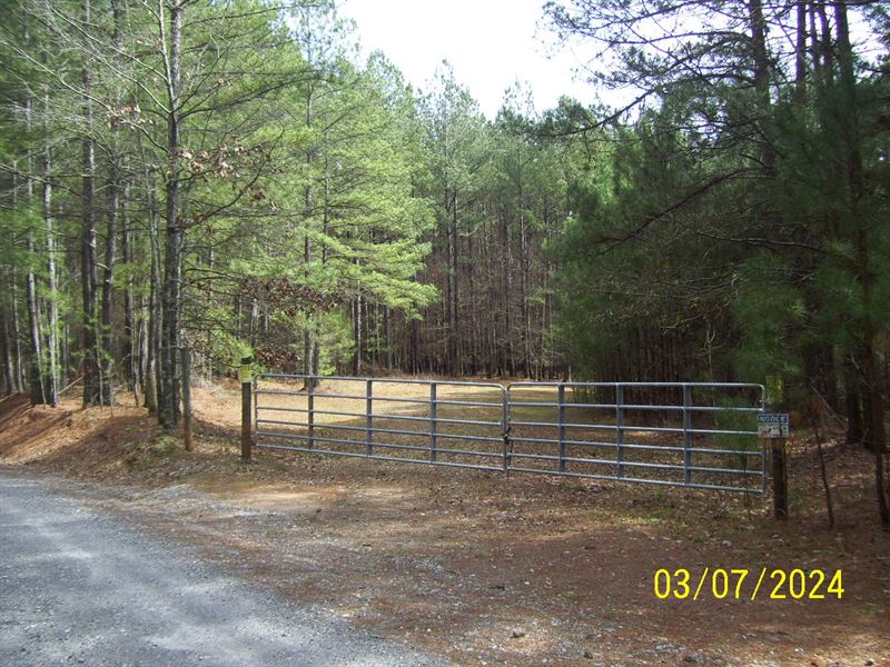 One-Of-A-Kind Property : Maysville : Banks County : Georgia