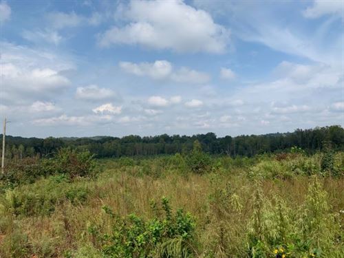 Hall County, Georgia Large Acreage : Gillsville : Hall County : Georgia