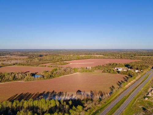 Sugar Creek Ranch : Lumber City : Telfair County : Georgia